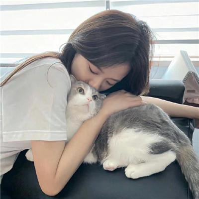 富滇风云